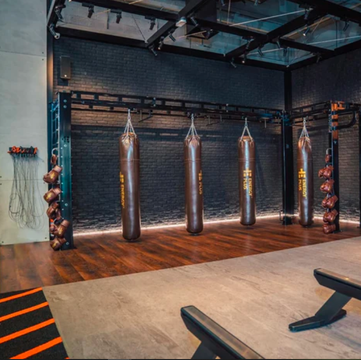 Luxury | Designer Fitness Spaces