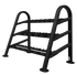 Nautilus Instinct® Dumbbell Rack 10-Pair/3 Tier
