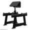 Nautilus Standing Preacher Curl
