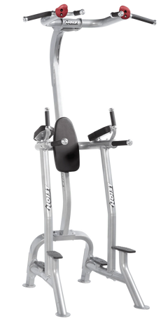 Hoist Fitness Tree