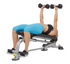 Hoist Fitness 7 Position Folding F.I.D. Bench