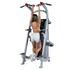 Hoist Fitness Chin/Dip Assist