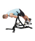 Hoist Fitness Ab/Back Roman Hyper