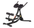 Hoist Fitness Ab/Back Roman Hyper