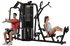 Hoist Fitness 2 Stack Multi Gym