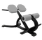 Nautilus Instinct 45° Back Extension