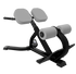 Nautilus Instinct 45° Back Extension