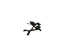 Nautilus Adjustable Back Extension