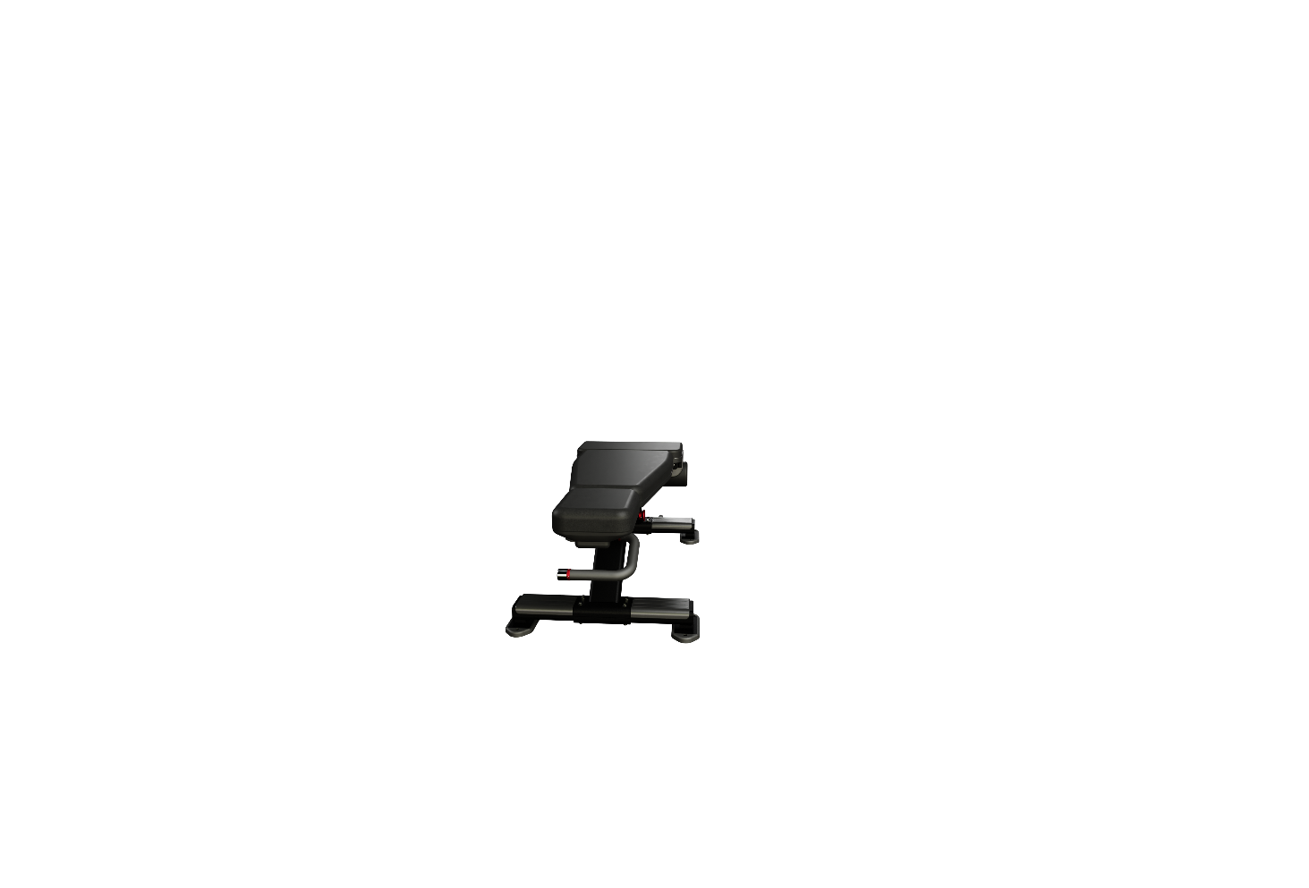 Nautilus Adjustable Decline Bench