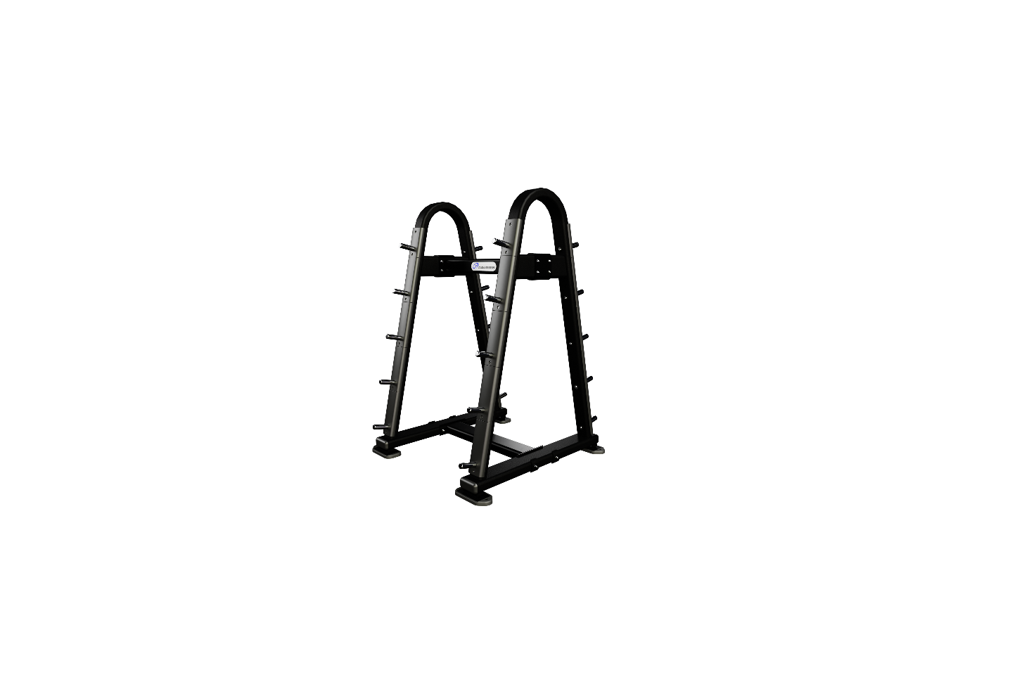 Nautilus Barbell Rack