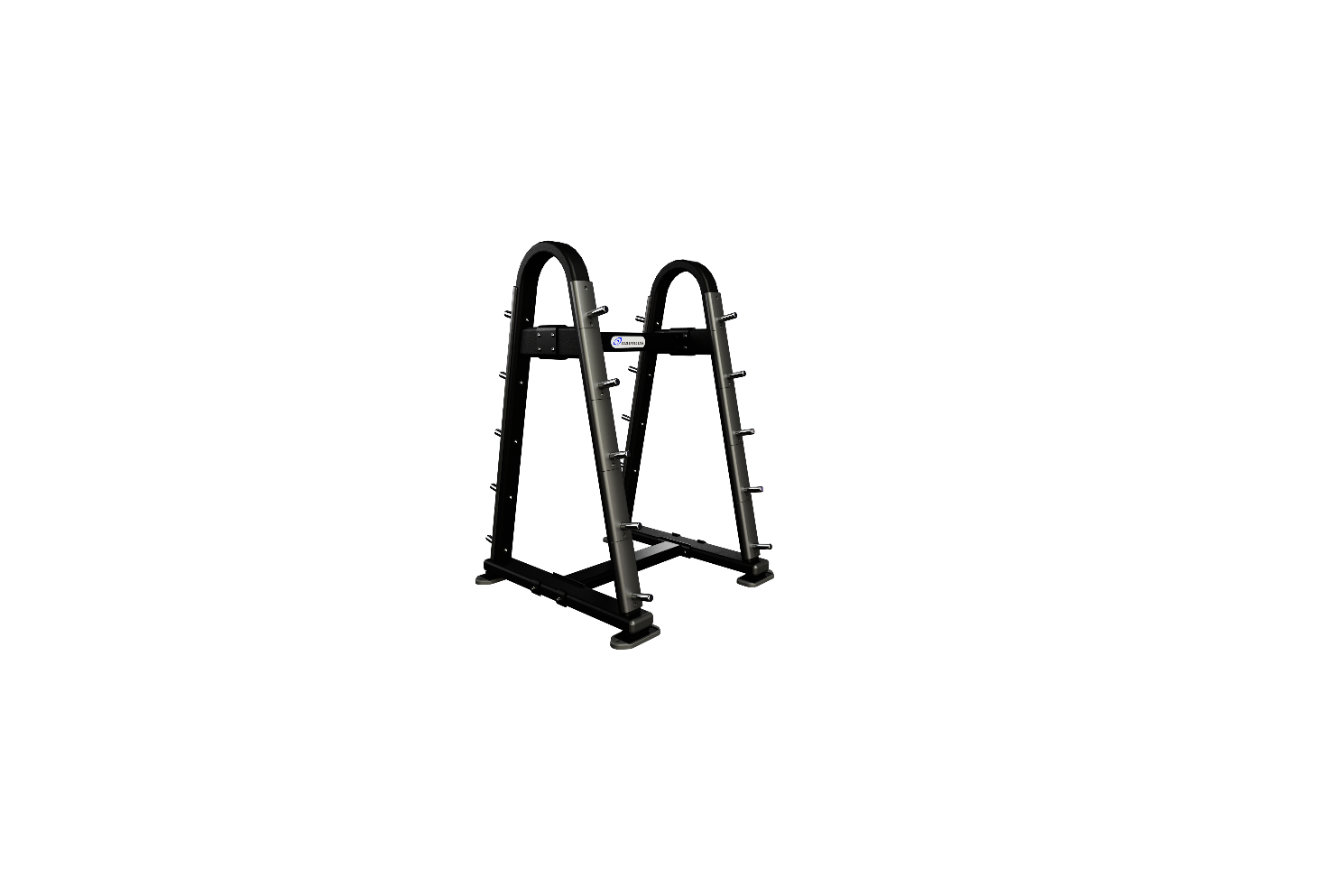 Nautilus Barbell Rack