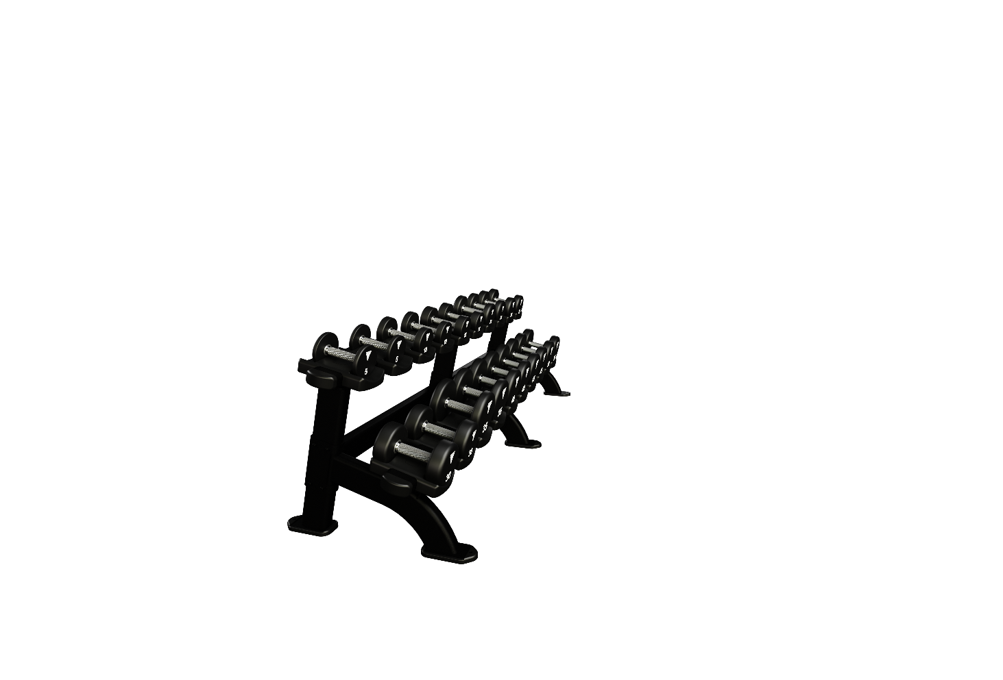 Nautilus Double Dumbbell Rack