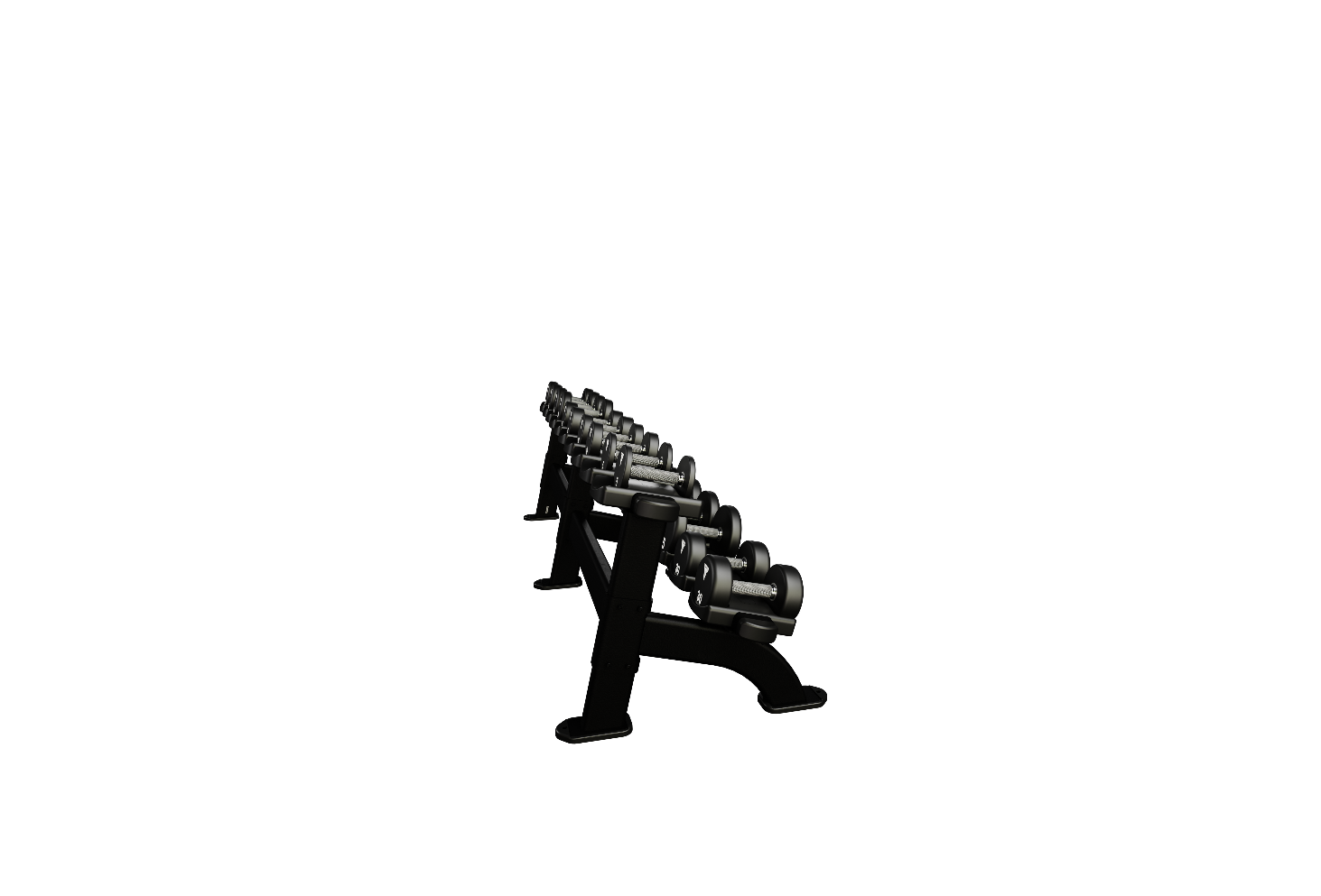 Nautilus Double Dumbbell Rack