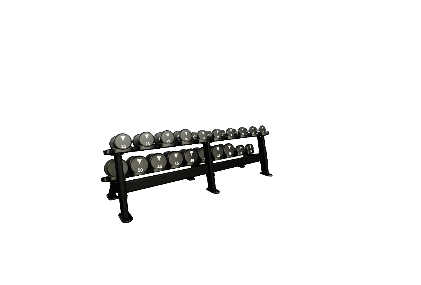 Nautilus Double Dumbbell Rack