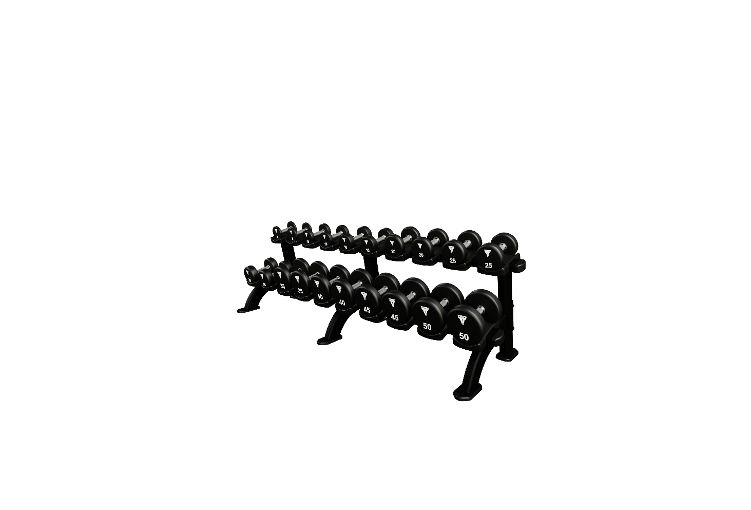 Nautilus Double Dumbbell Rack