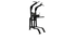 Nautilus Pull-Up/Dip/Leg Raise