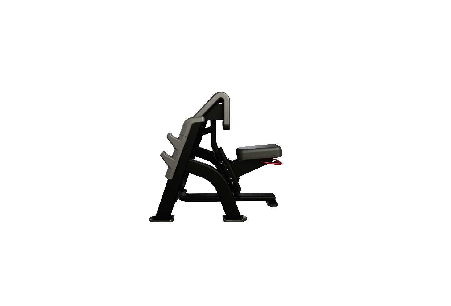 Nautilus Seated Preacher Curl