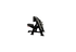 Nautilus Seated Preacher Curl