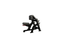 Nautilus Seated Preacher Curl
