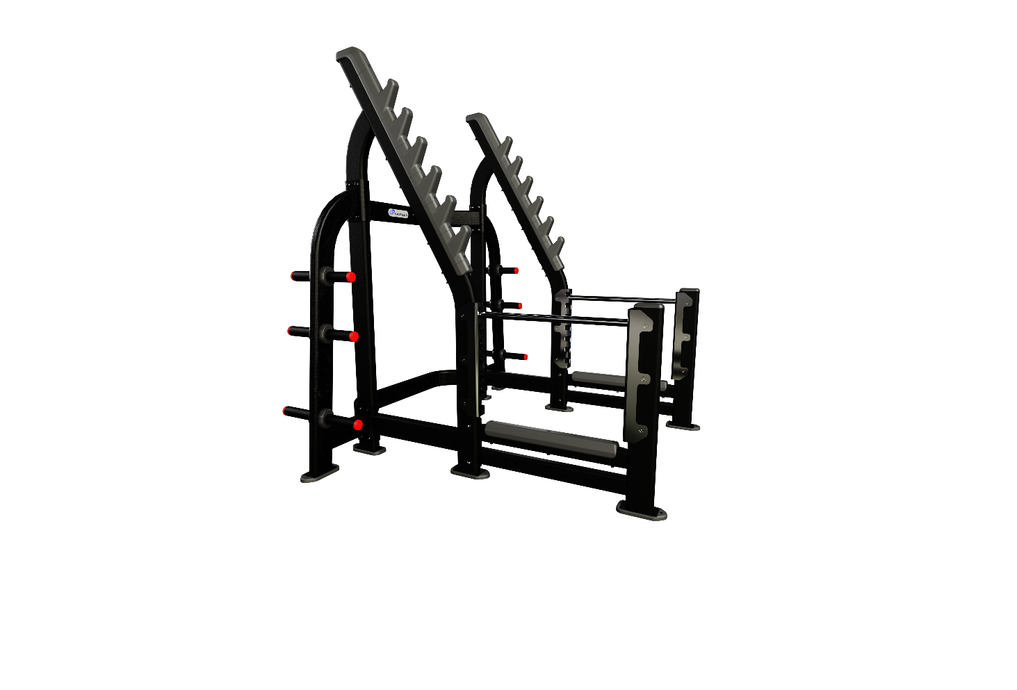 Nautilus Squat Rack