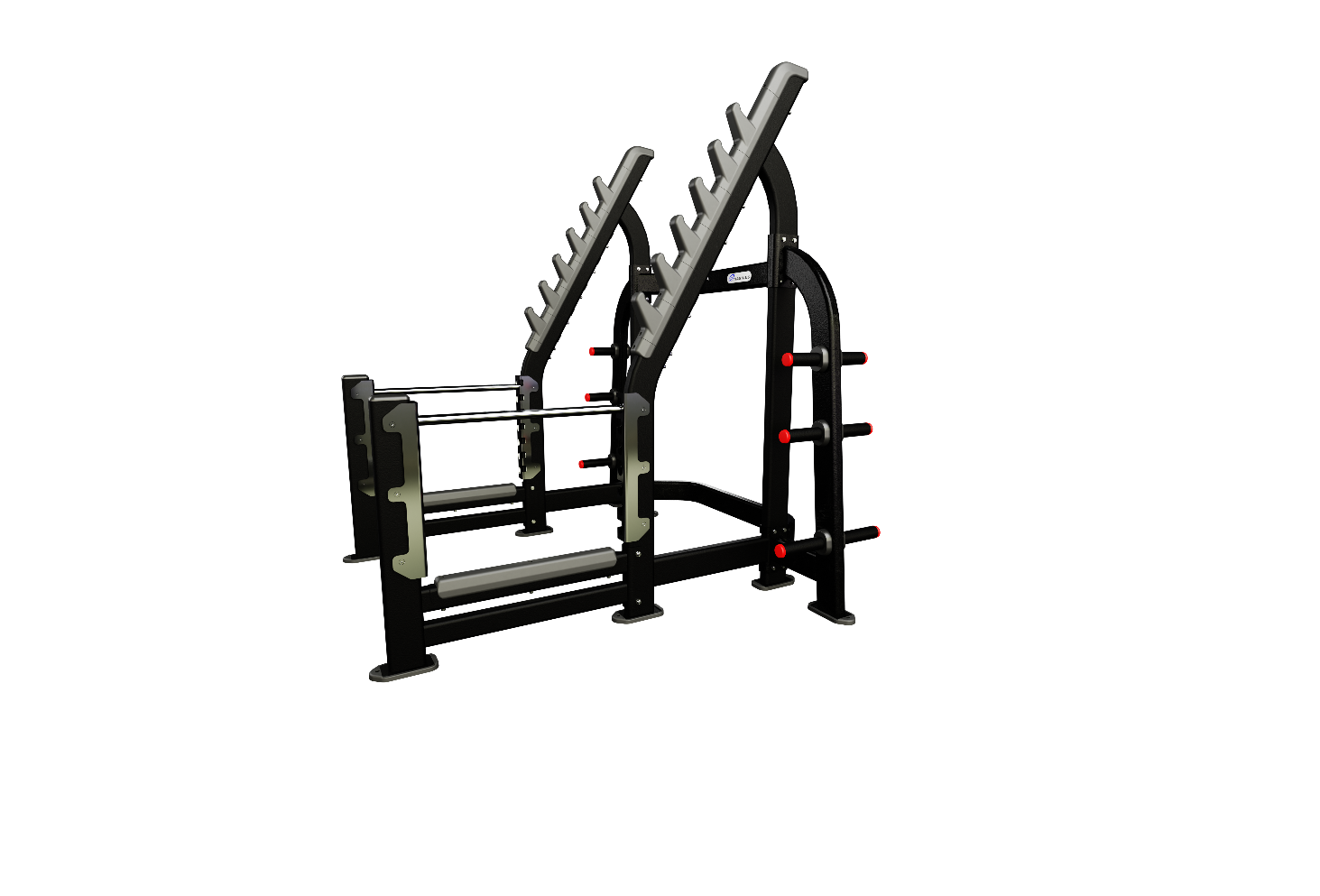 Nautilus Squat Rack