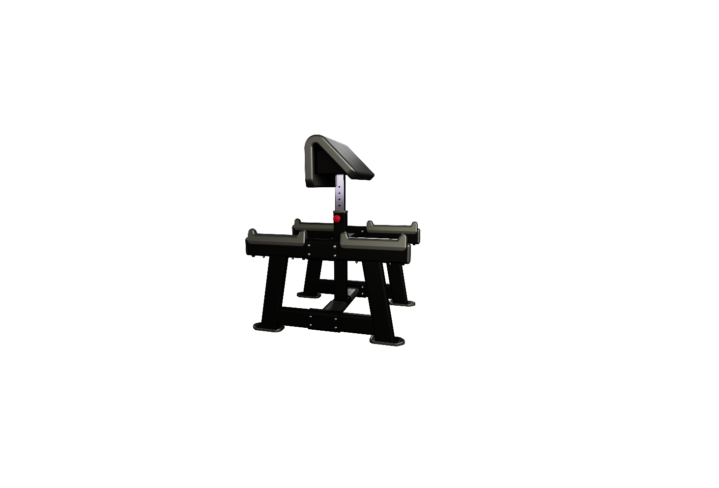 Nautilus Standing Preacher Curl