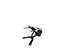 Nautilus Instinct 45° Back Extension