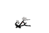 Nautilus Instinct 45° Back Extension