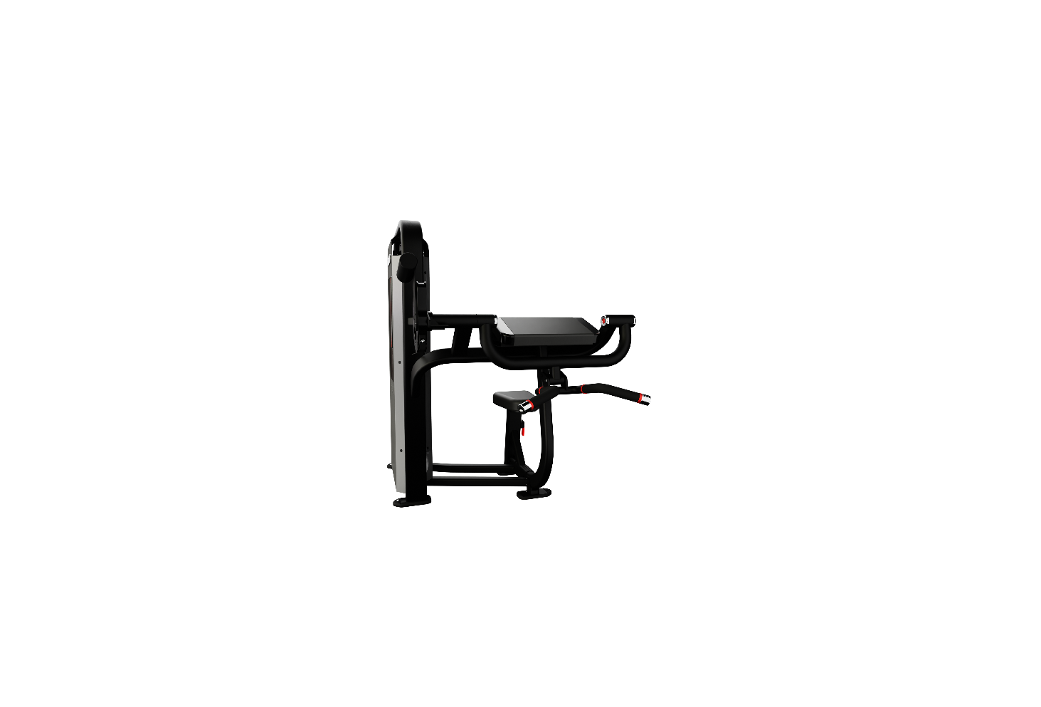 Nautilus Impact Biceps Curl