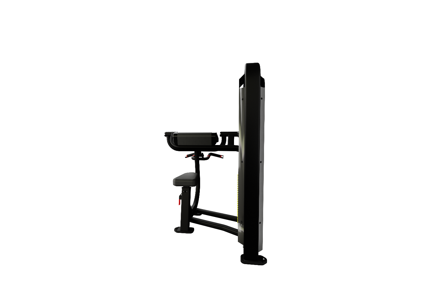 Nautilus Impact Biceps Curl