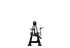 Nautilus Incline Lever Row