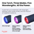 Hooga Red Light Therapy Torch with Precision Tip