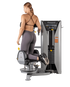 Hoist Fitness ROC-IT Rotary Torso