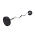 Body-Solid Rubber Coated Fixed Curl Barbell