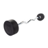 Body-Solid Rubber Coated Fixed Curl Barbell