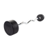 Body-Solid Rubber Coated Fixed Curl Barbell