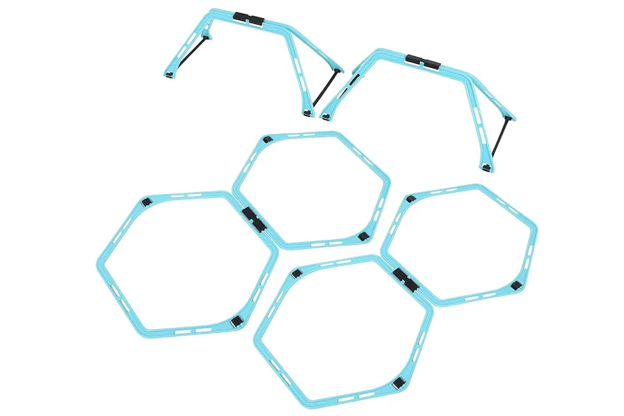 Warrior Hex Speed Ladder