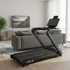 New! 2026 CF Malibu 6.5 Treadmill