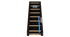 Jacobs Ladder
