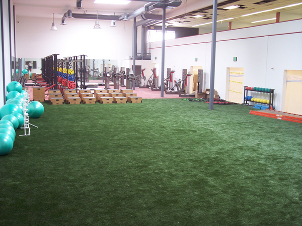 Premium Athletic Turf