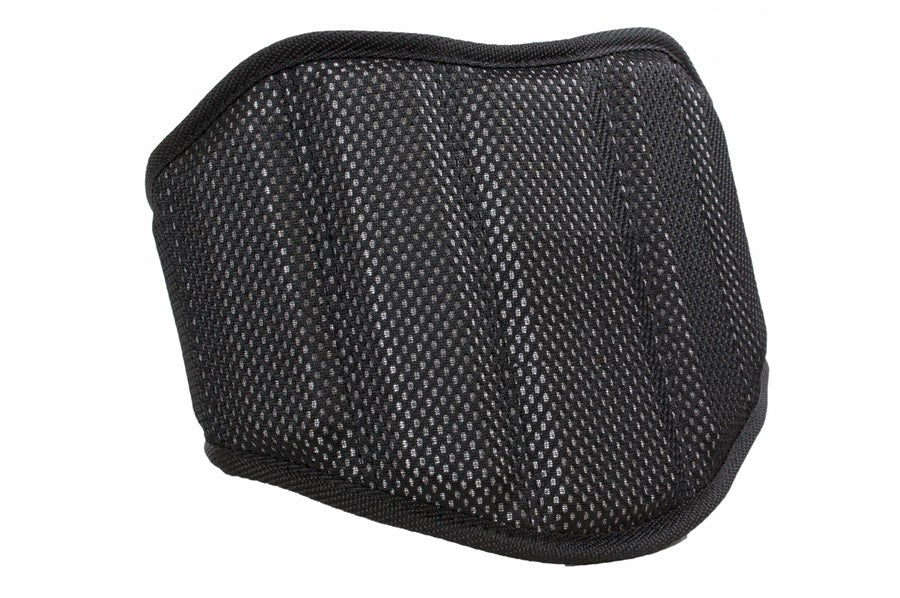 Warrior Carbon Fiber Belt With Waist Pad