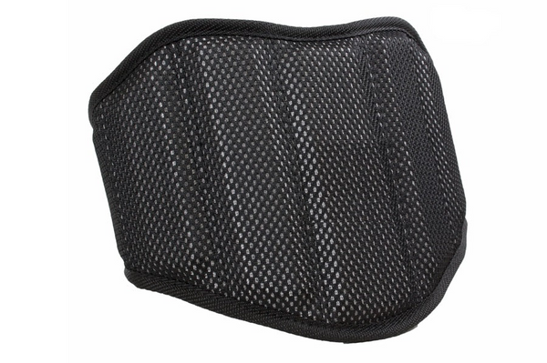 Warrior Carbon Fiber Belt With Waist Pad