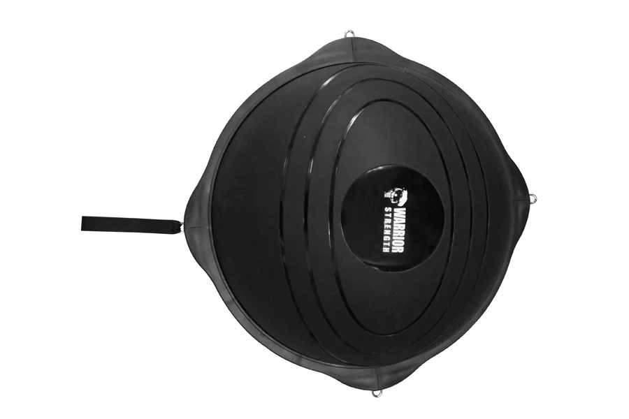 Warrior Studio Balance Ball