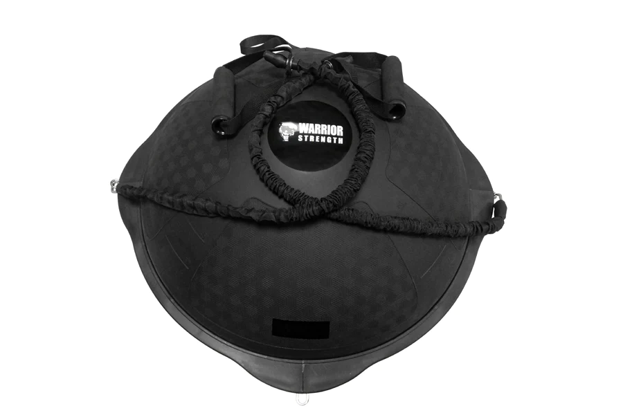 Warrior Studio Balance Ball