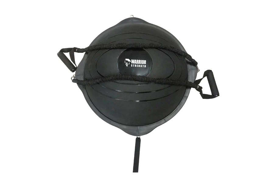 Warrior Studio Balance Ball