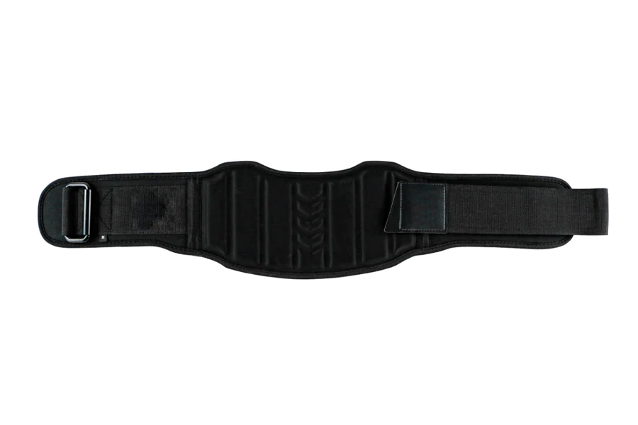 Warrior Carbon Fiber Belt With Waist Pad