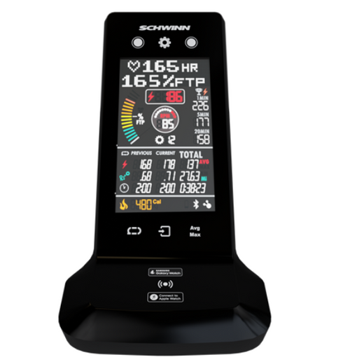 Schwinn Zone Console