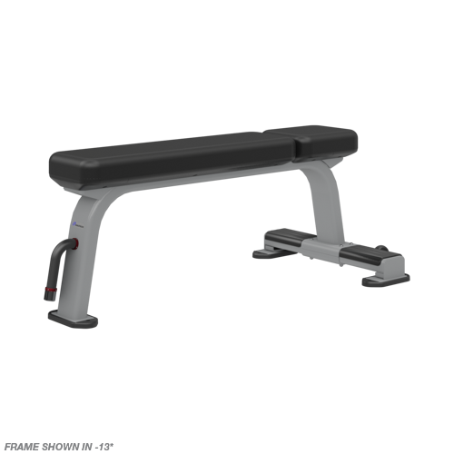 Nautilus Flat Bench