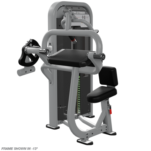 Nautilus Impact Triceps Extension