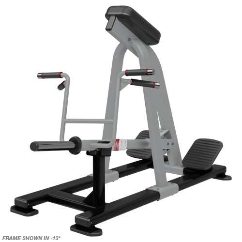Nautilus Incline Lever Row
